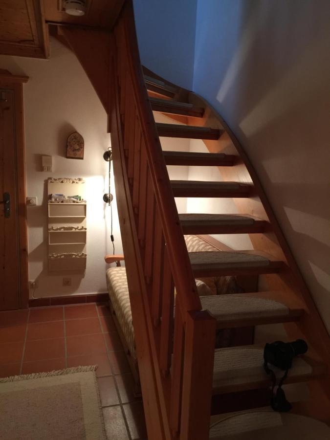 Appartement Schuricht Райт-им-Винкль Экстерьер фото